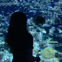 bd1fb16009024cffa