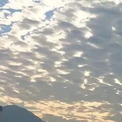 一粒蒜