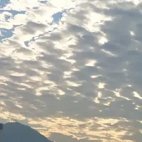 一粒蒜