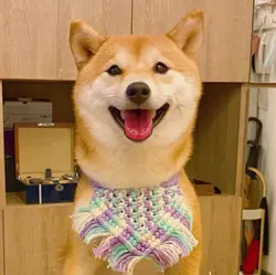 Riley the Kitsune