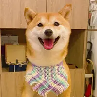 Riley the Kitsune
