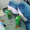 nestle1