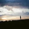 彈彈虎