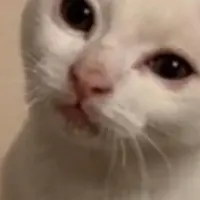 kyubi1016