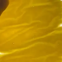 Yuzu.mechakawayi