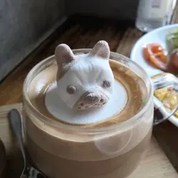dailyymiscctungg
