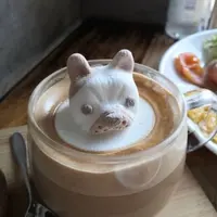dailyymiscctungg