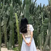 菇獨的美食家