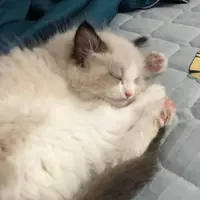 Aaron食食食