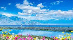 貪吃小鬼頭