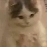 karenfunggg333