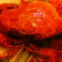 根本英俊99