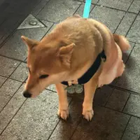 jackychu0