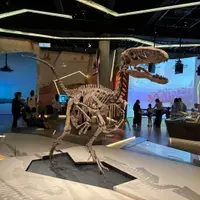 kencheungkin99