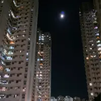 taotaoau16