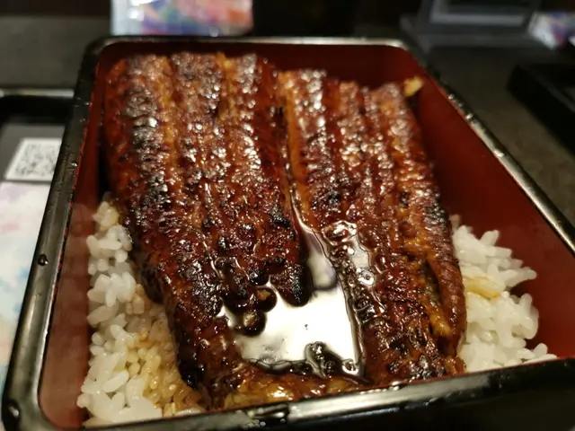 活燒蒲燒鰻魚飯