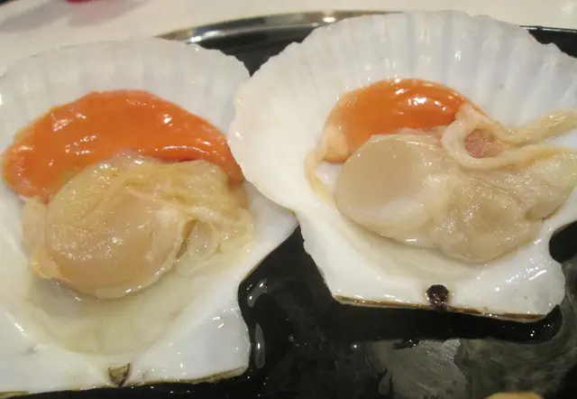 日本大元貝