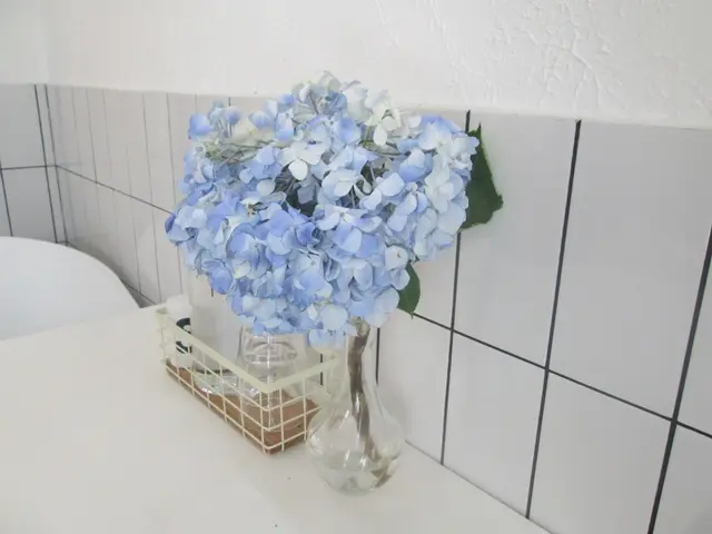 四處放了不同的鮮花