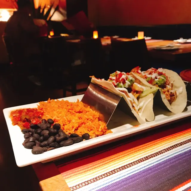 Grilled shredded Chicken Tacos