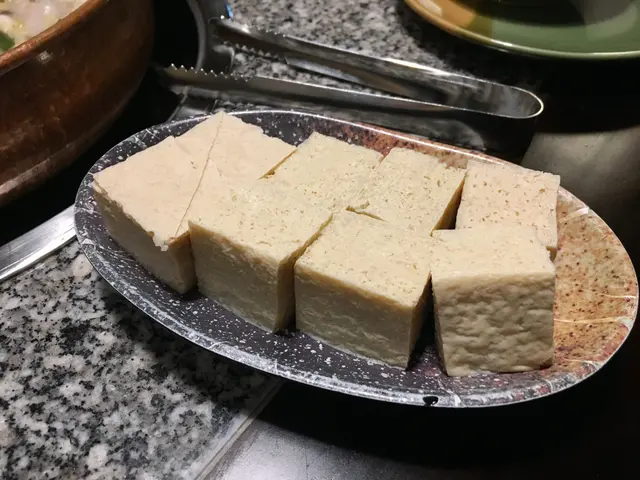 千層凍豆腐