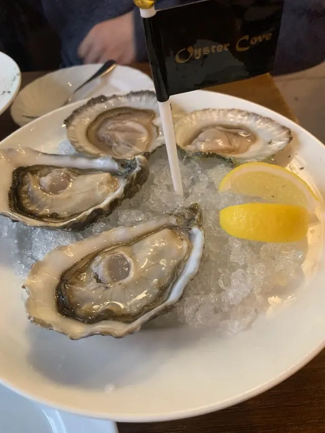Oyster