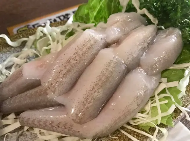 九肚魚