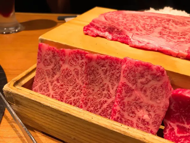 特選日本產和牛牛排肉