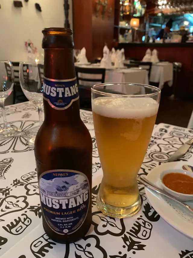 Mustang Beer