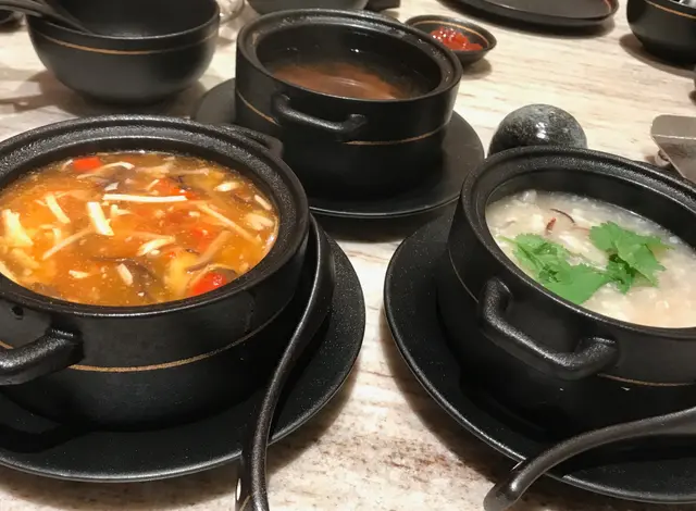 陳皮花膠魚蓉湯