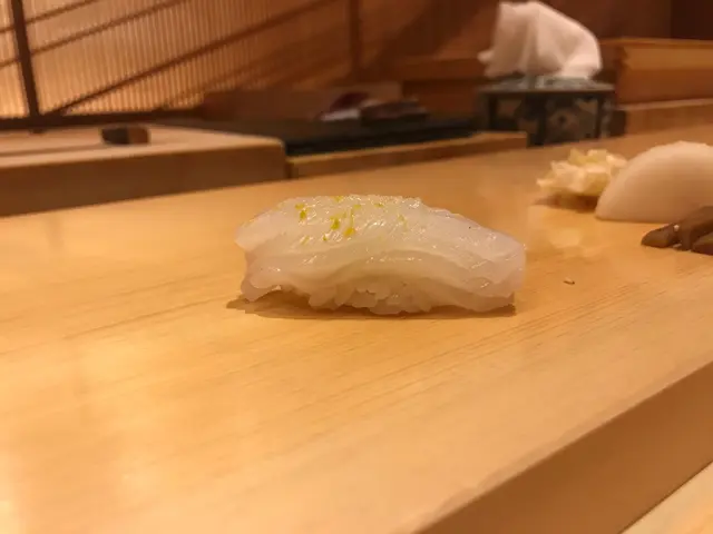 アオリイカ  泥障烏賊