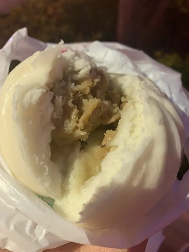 菜脯肉飽