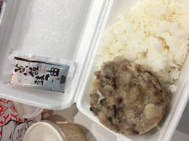 章魚肉餅飯