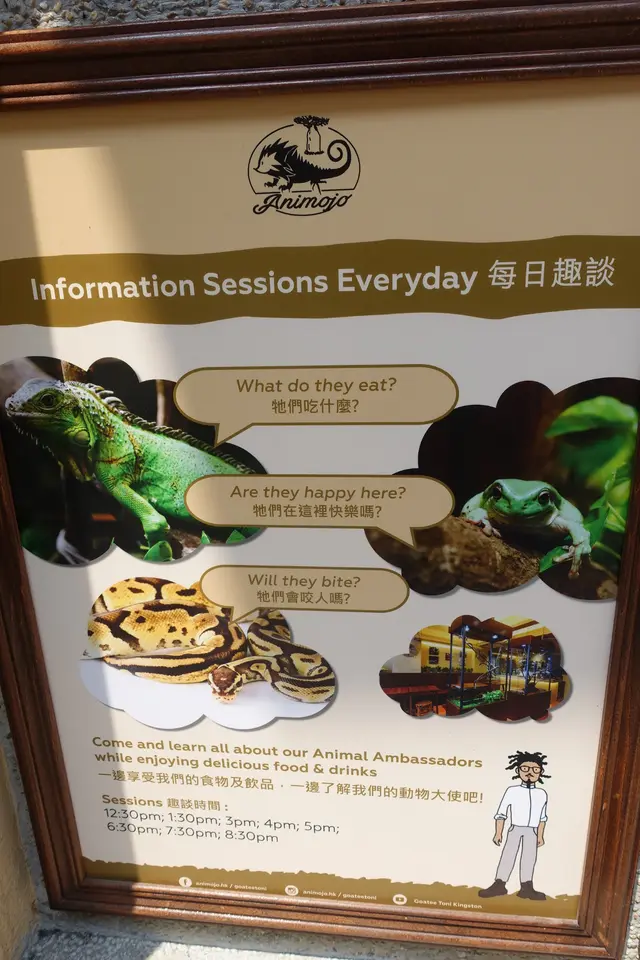 這間主題餐廳，不時會擺放不同的野生動物讓人觀賞