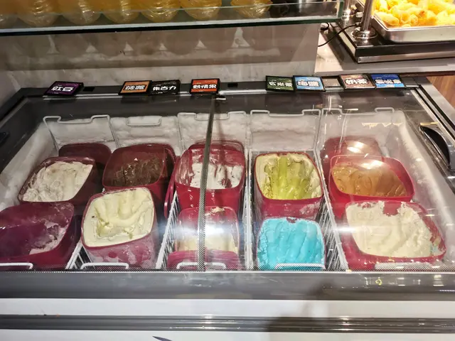 太飽,連雪糕都無肚食