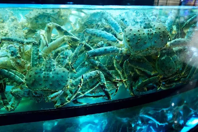 清蒸阿拉斯加帝皇蟹