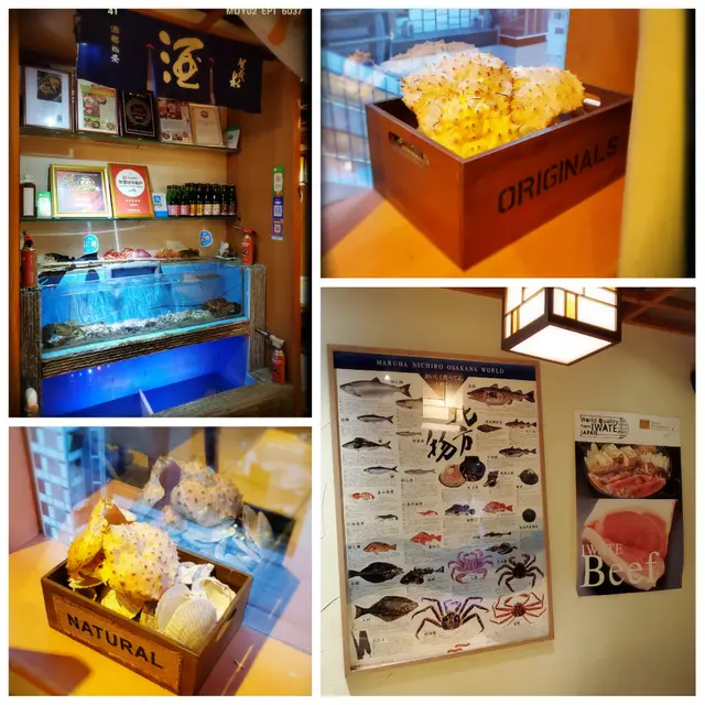 魚缸、貝殼裝飾及彩圖海報