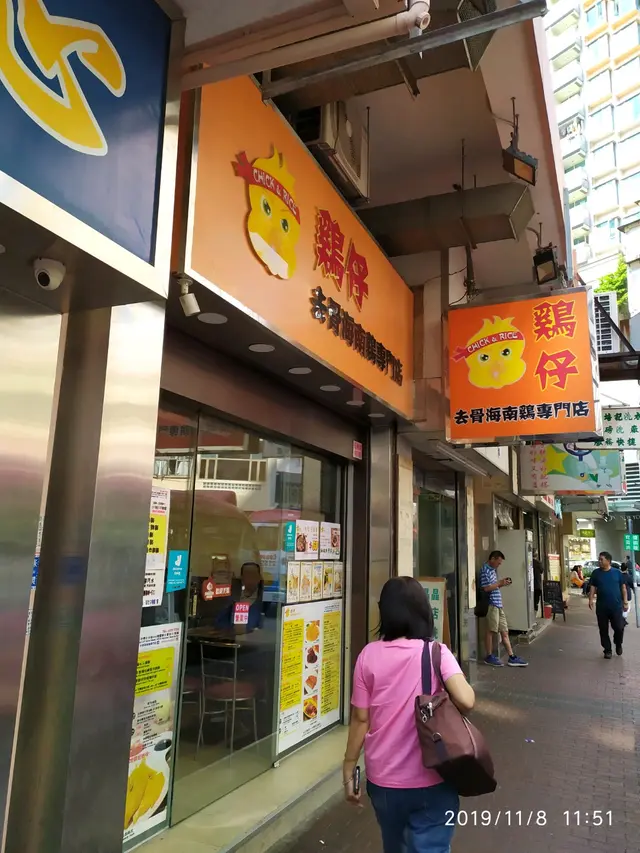 初生之犢-雞仔無錯