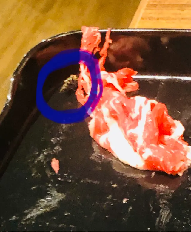 huge fly in the dish