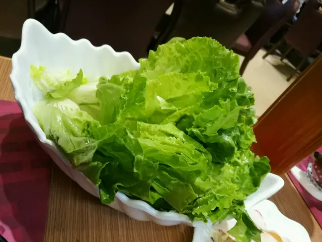 唐生菜
