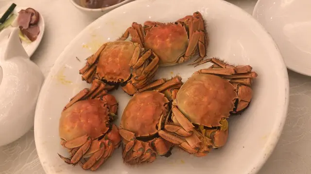 期待去吃！不爽在吃！