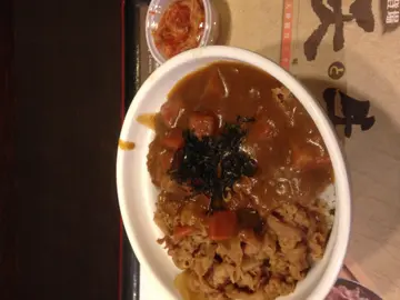 curry beef rice