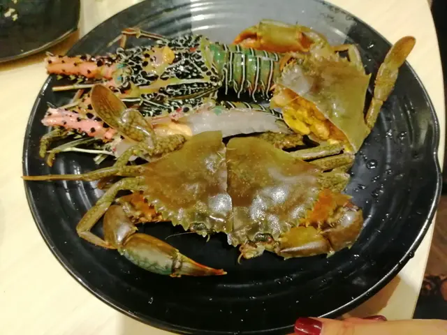 大黃奄 + 澳洲青年龍蝦