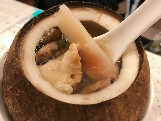 椰皇花膠冬菇燉雞湯一