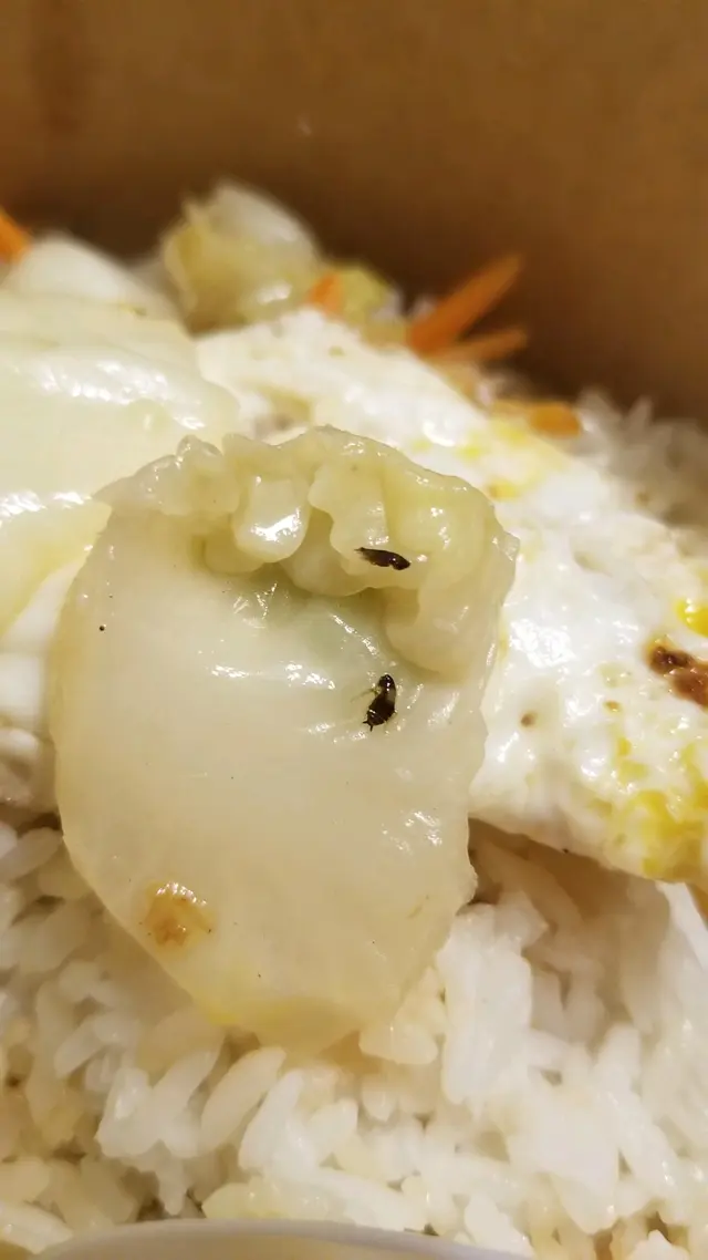 配菜出現較多菜蟲