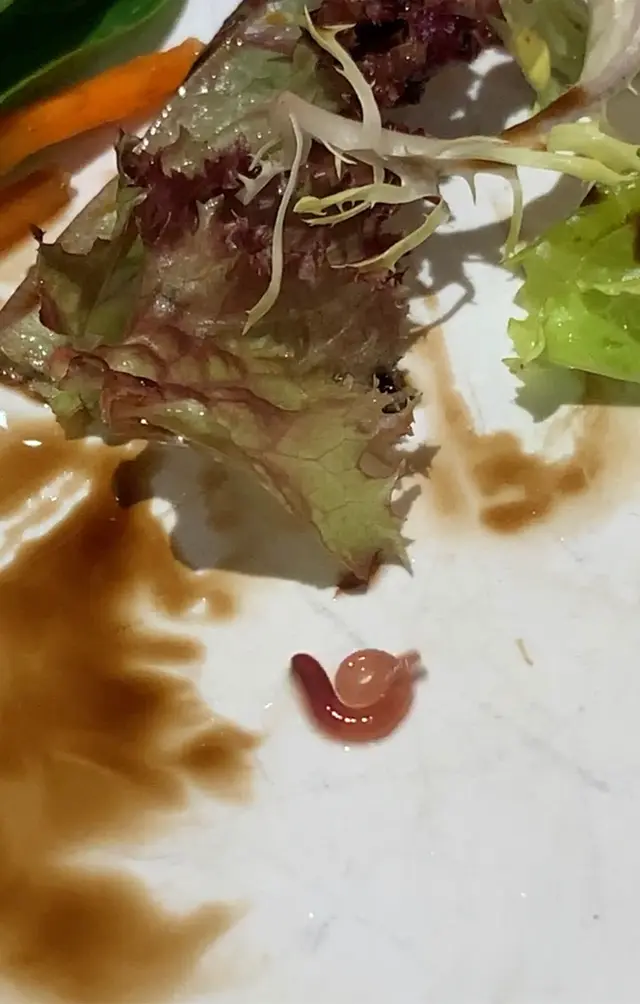 脆皮德國豬腳裡的🐛