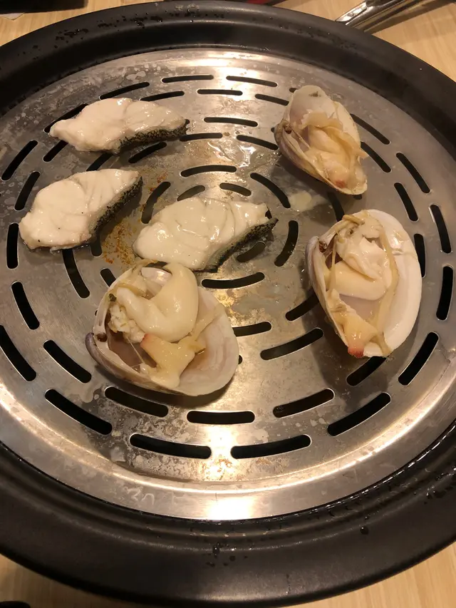 紐西蘭刀貝蚌