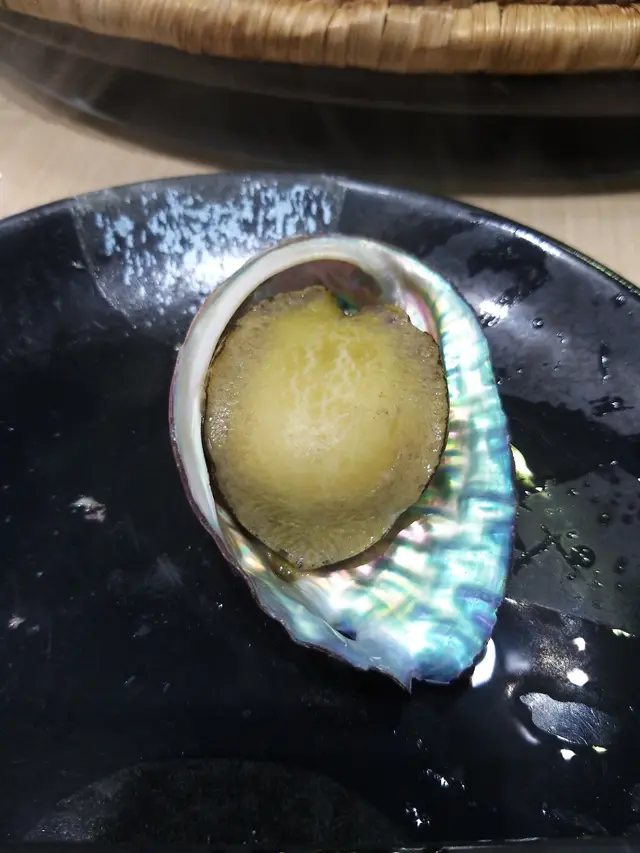 台灣九孔鮑魚