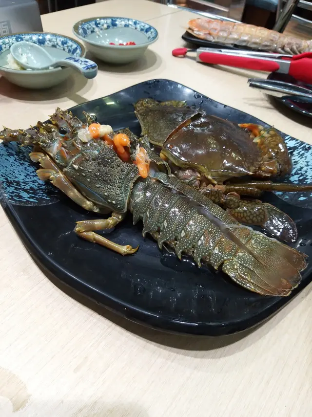澳洲青年龍蝦 (前)