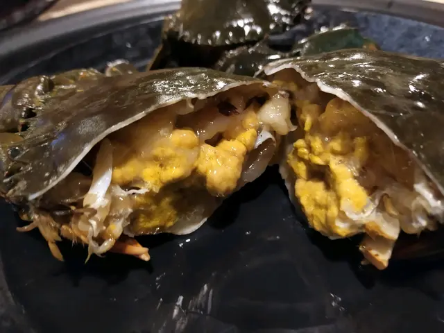 越南頂角膏蟹