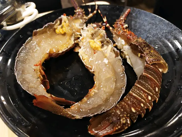 澳洲青年龍蝦